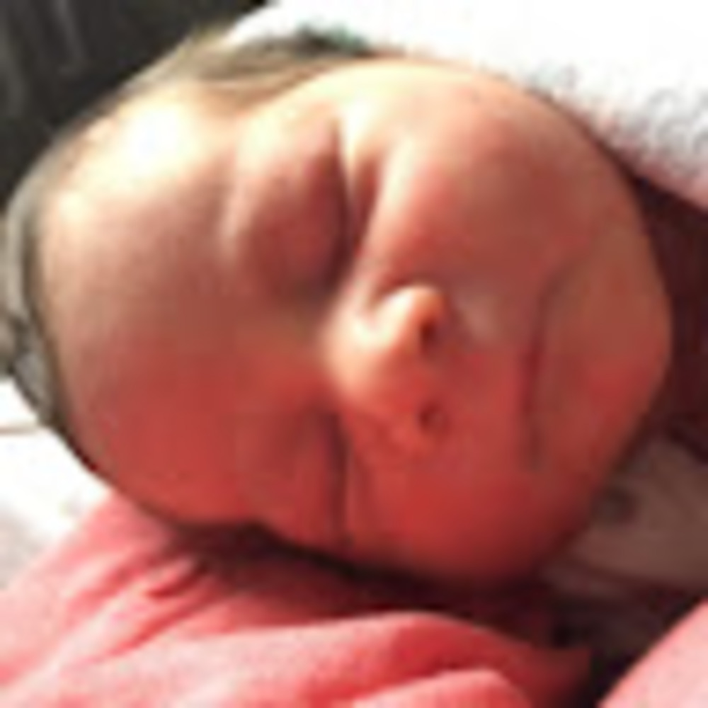 Meet your Posher, Gilbert